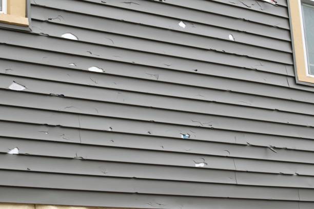 Best Engineered Wood Siding  in Seal Beach, CA